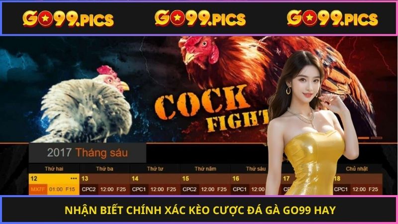 Nhận biết chính xác kèo cược đá gà Go99 hay