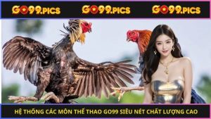Chọn đá gà Go99 cược chuẩn qua mẹo từ chuyên gia