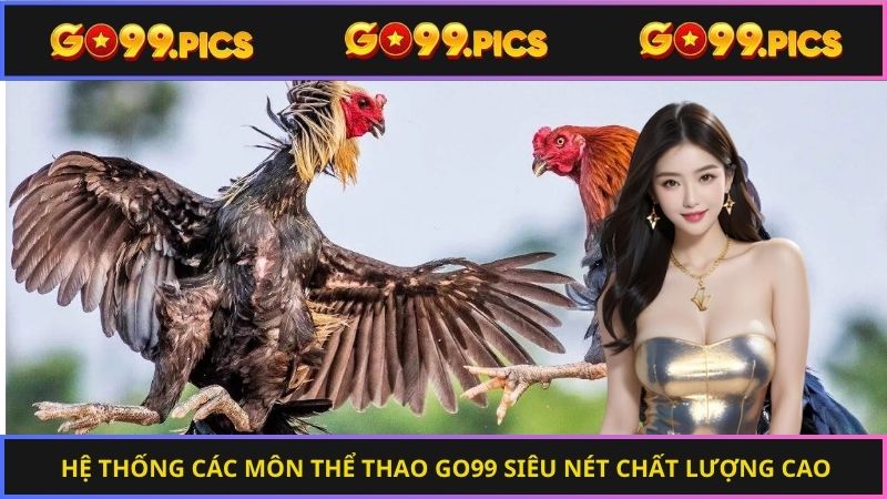 Chọn đá gà Go99 cược chuẩn qua mẹo từ chuyên gia
