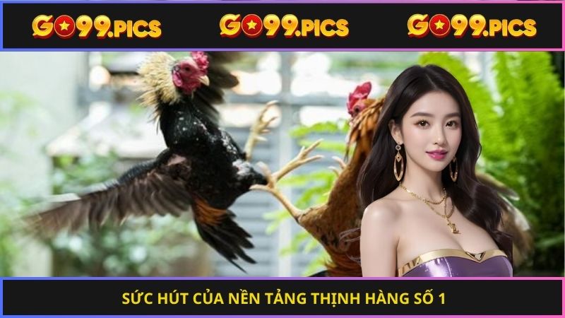 Sức hút của nền tảng thịnh hàng số 1