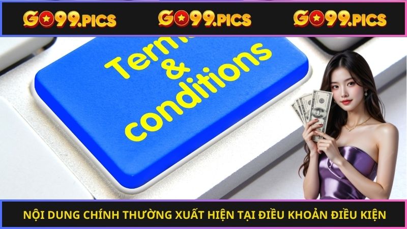 Nội dung chính thường xuất hiện tại điều khoản điều kiện