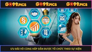 Ưu đãi vô cùng hấp dẫn được tổ chức theo sự kiện 