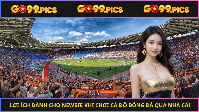 Lợi ích dành cho newbie khi chơi cá độ bóng đá qua nhà cái