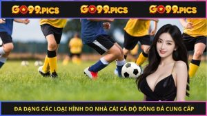 Đa dạng các loại hình do nhà cái cá độ bóng đá cung cấp