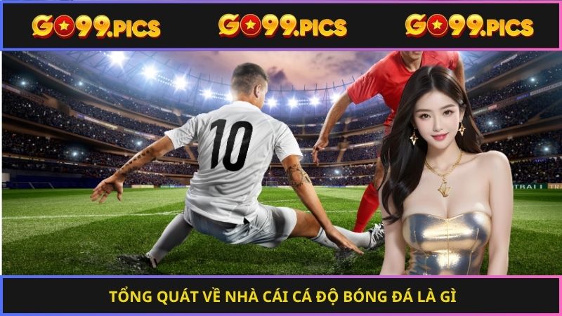 Tổng quát về nhà cái cá độ bóng đá là gì