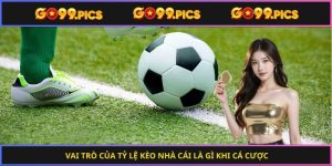 Vai trò của tỷ lệ kèo nhà cái là gì khi cá cược