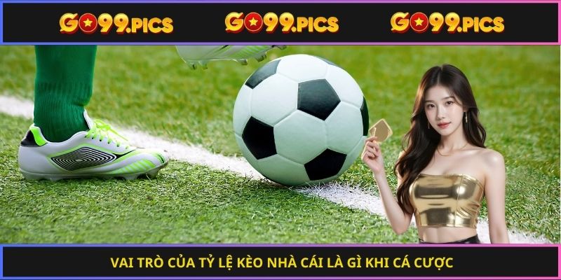 Vai trò của tỷ lệ kèo nhà cái là gì khi cá cược