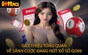 Giới thiệu tổng quan về sảnh cược đang hot xổ số GO99