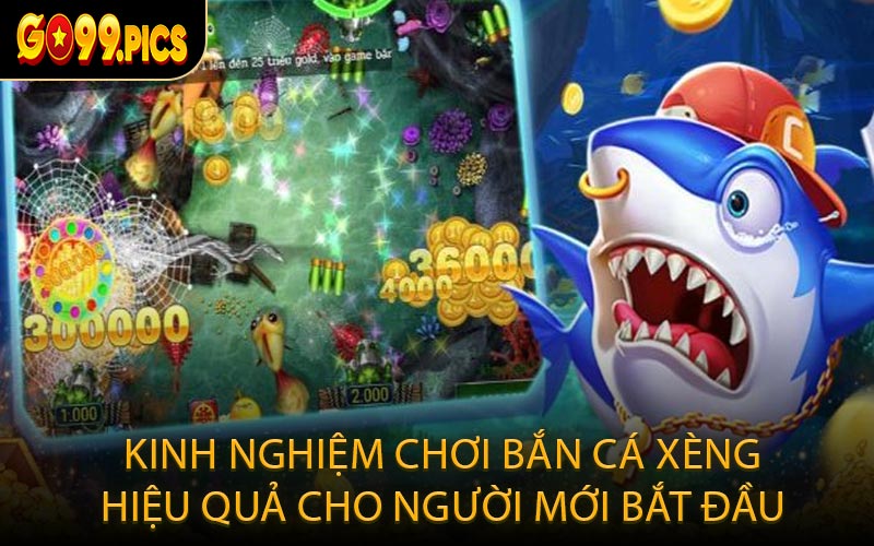 Kinh nghiệm chơi bắn cá xèng hiệu quả cho người mới bắt đầu